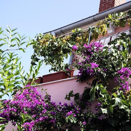 Apartments By The Sea Mali Losinj Veli Lošinj 外观 照片